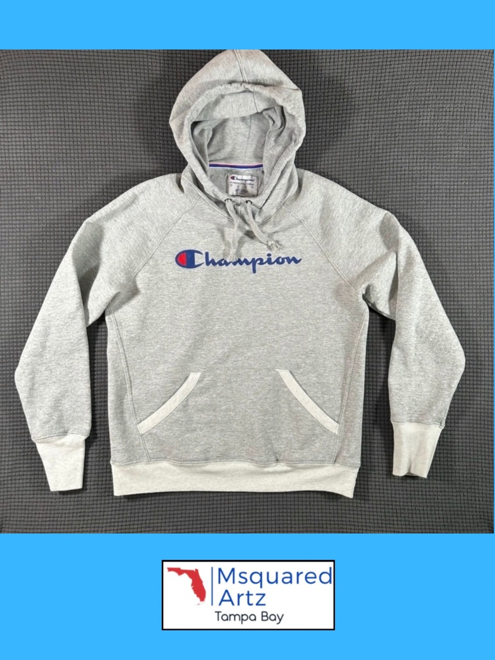 Champion Authentic Athleticwear Men’s Small Gray Logo Pullover Fleece Hoodie